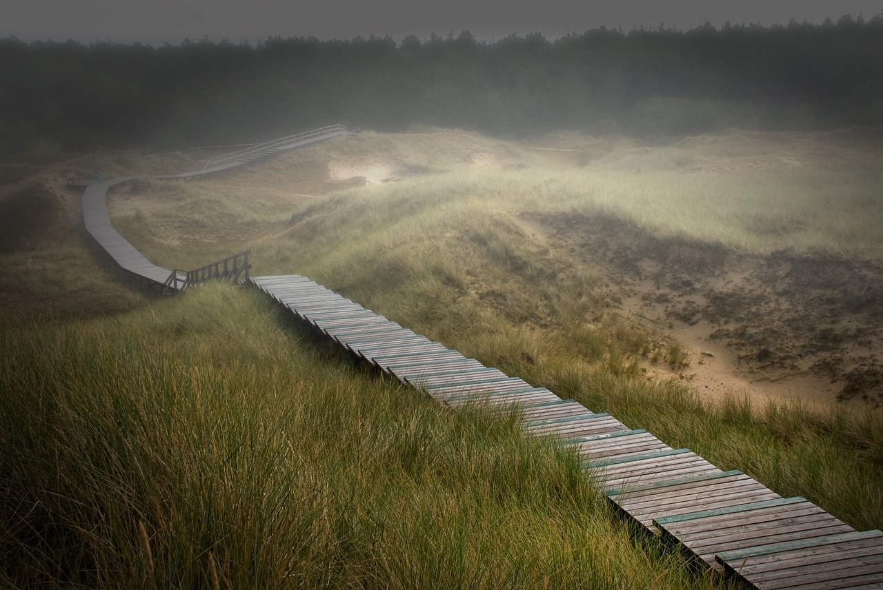 Image - amrum dunes island nordfriesland