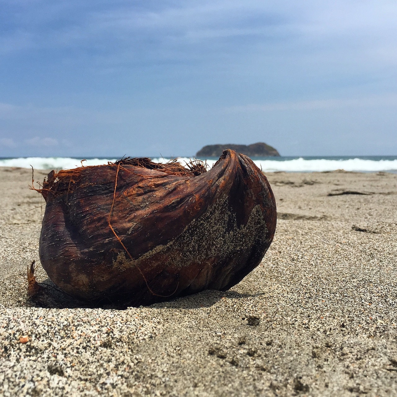 Image - coconut beach costa rica tropical