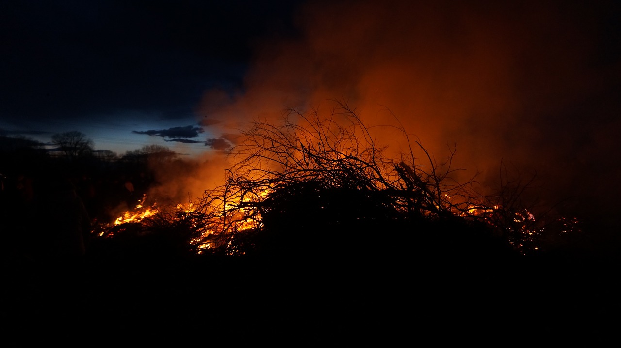 Image - easter fire fire branches