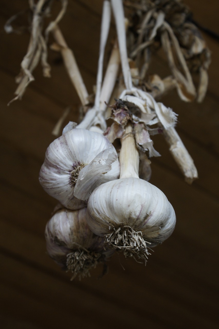 Image - garlic vegetables food spices