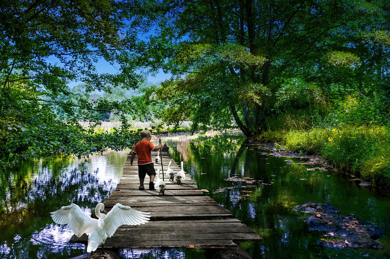 Image - park hobbies river child farm