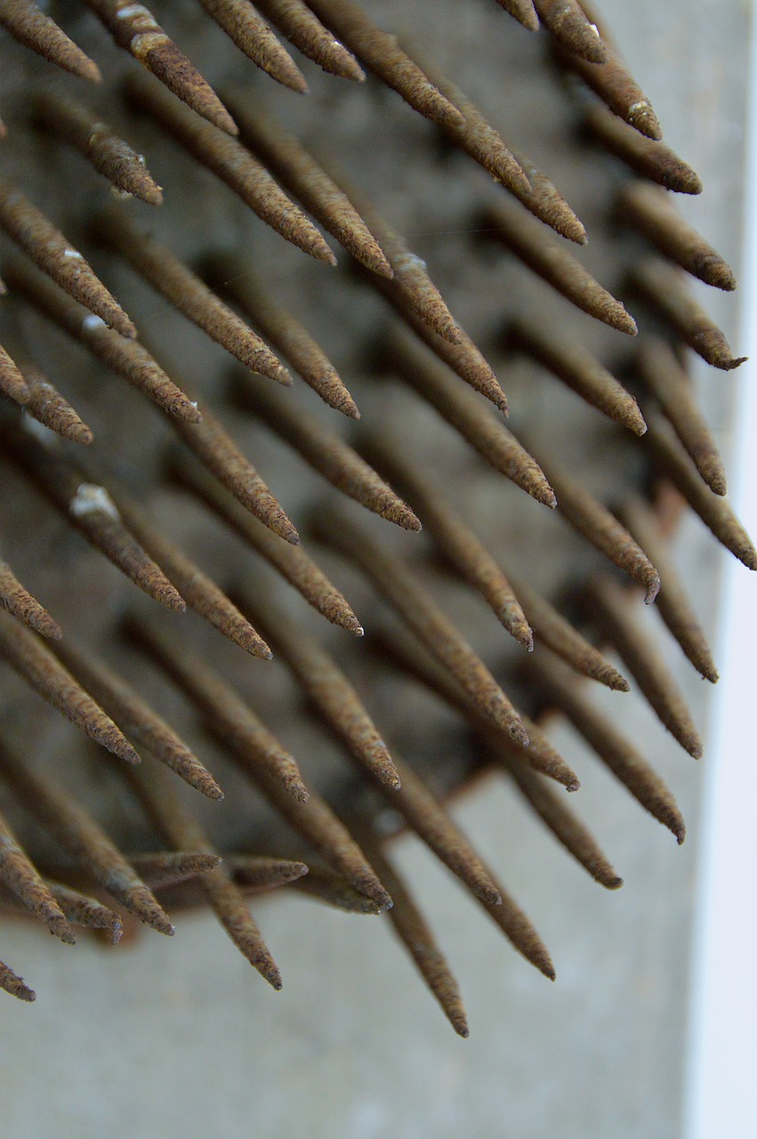 Image - tool region brush old peasants