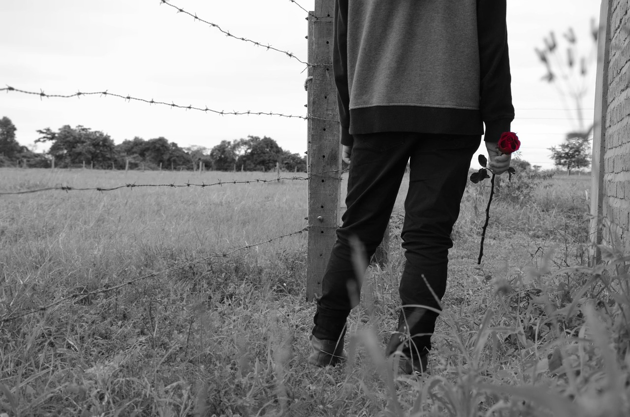 Image - rose love boy children crush