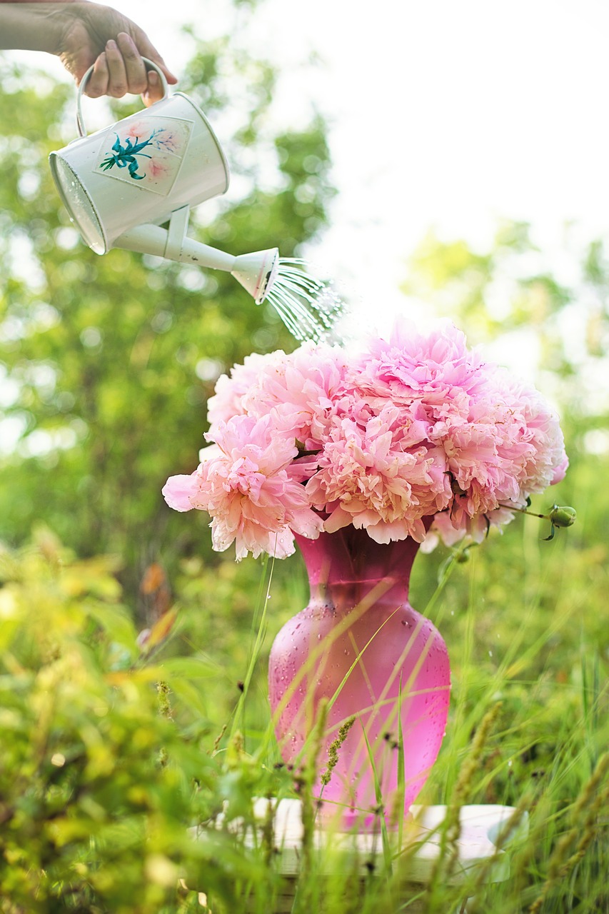 Image - watering watering can sprinkle