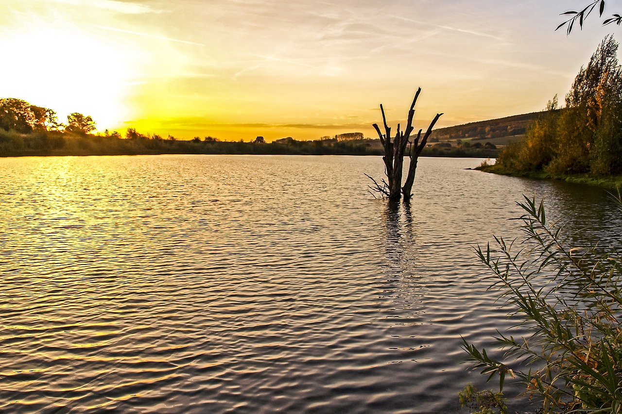 Image - landscape pond twilight sun