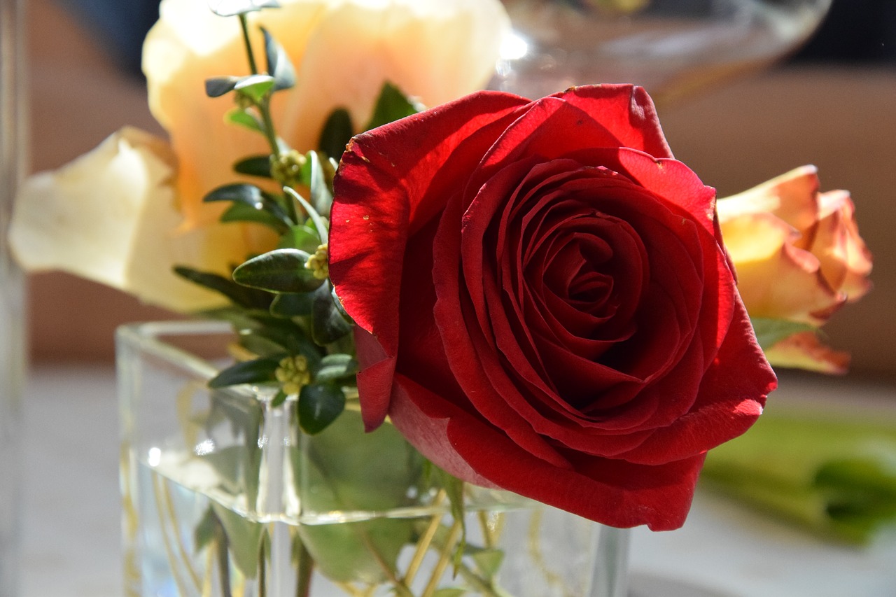 Image - rose flower table deco blossom