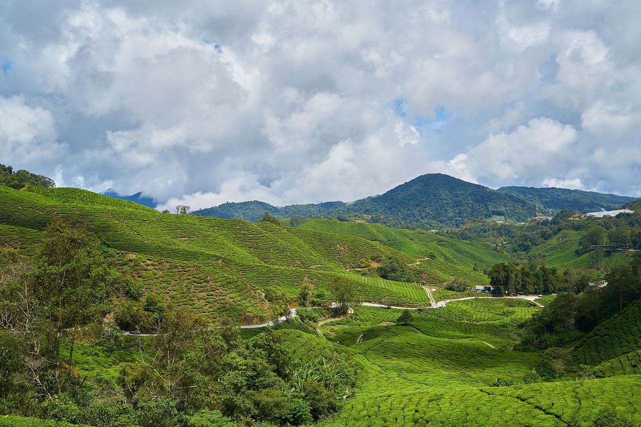 Image - mountain green blue nature