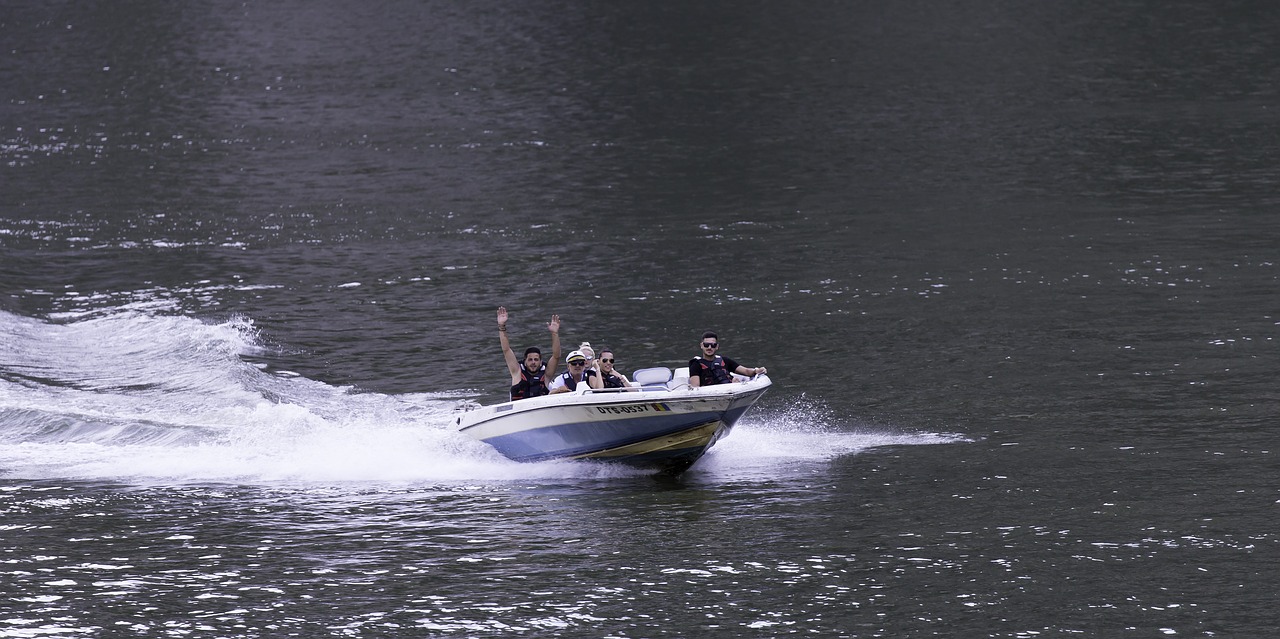 Image - river danube iron gate speedboat