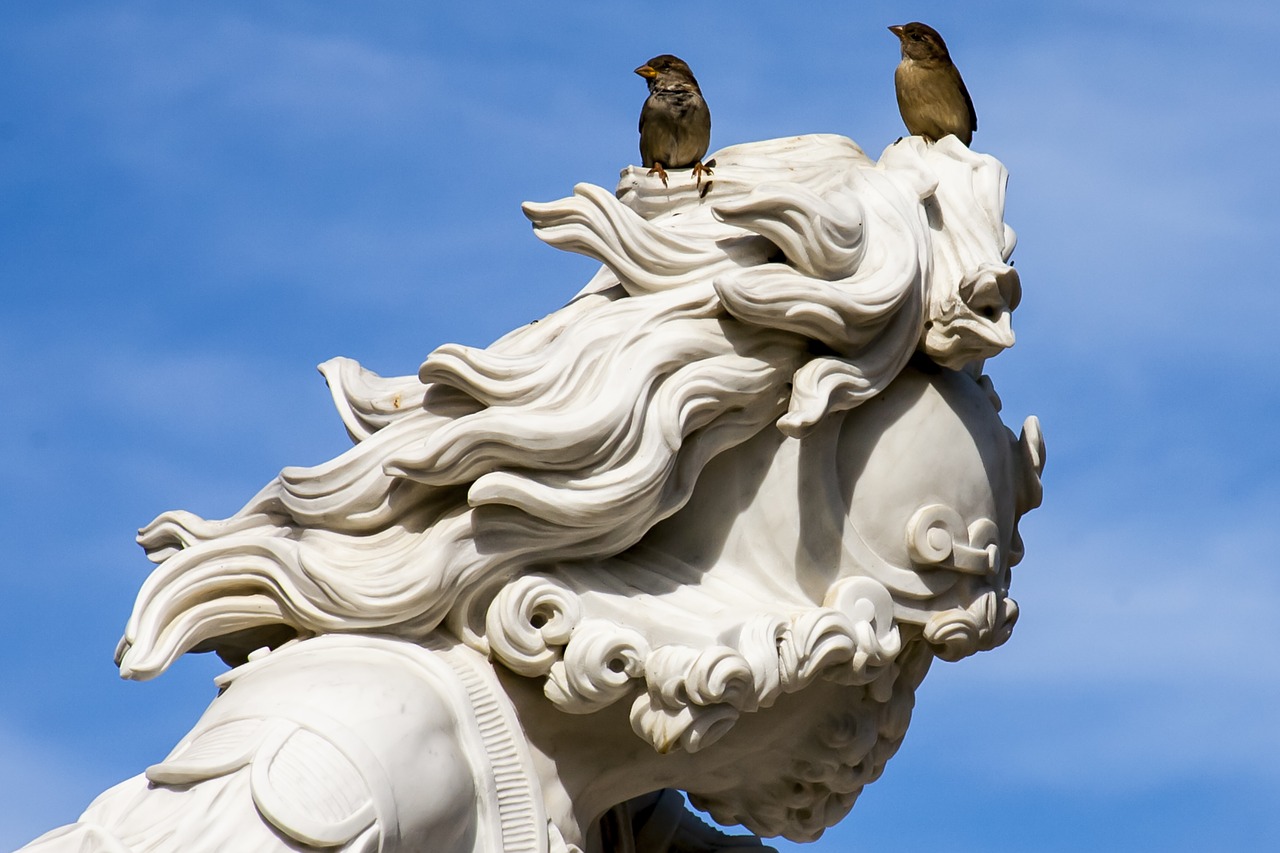 Image - potsdam statue sparrows