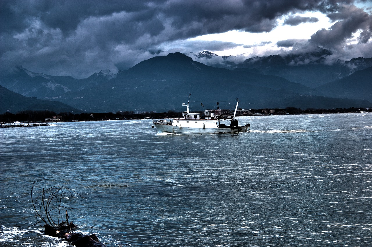 Image - inverno mare pesce