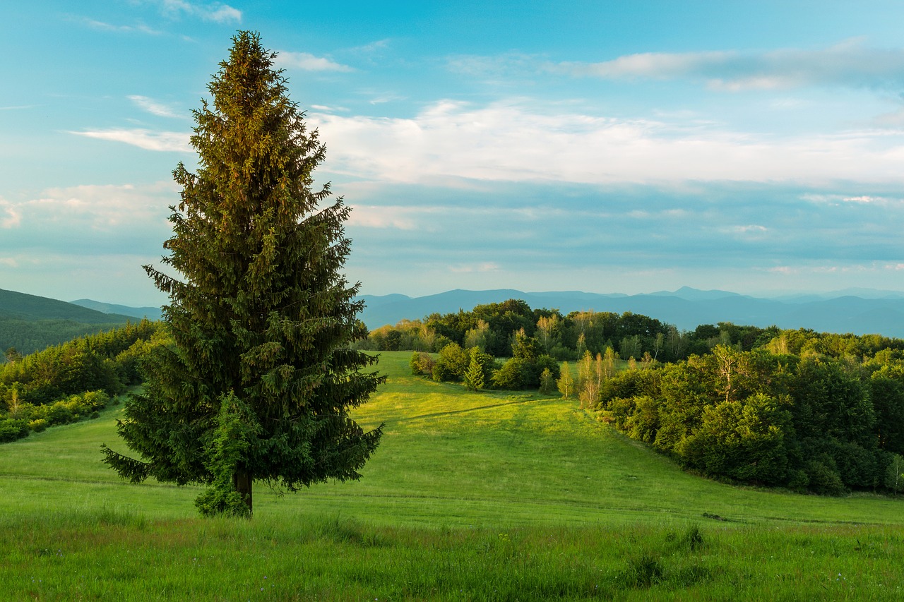 Image - nature country mountains slovakia