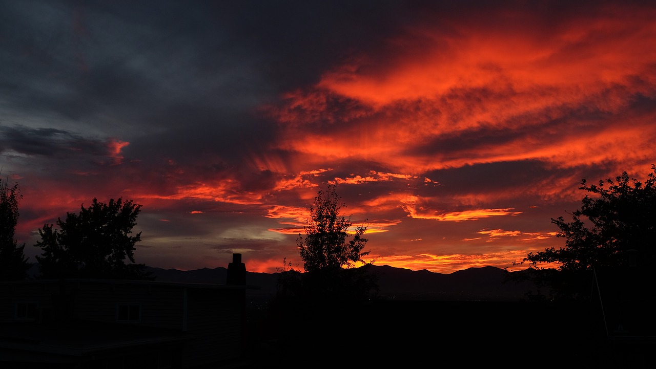 Image - backyard sunset summer