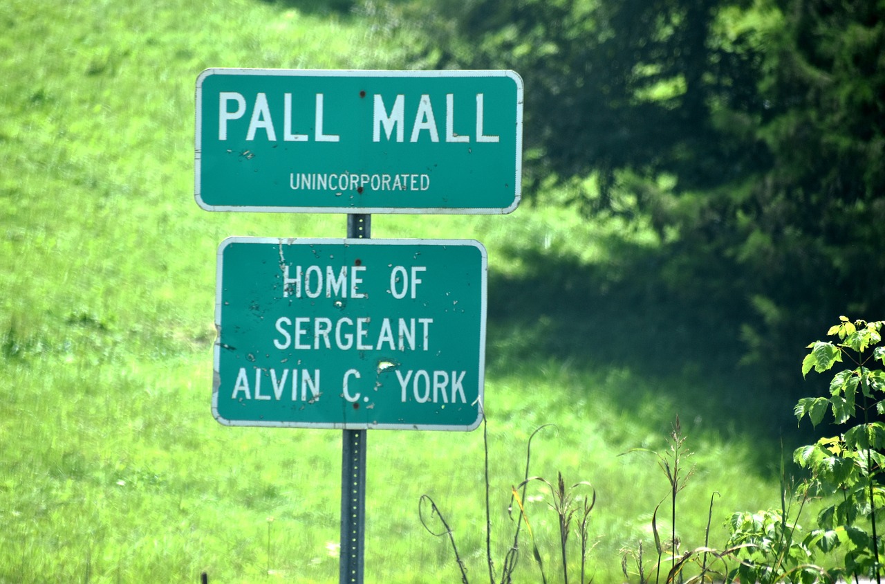 Image - pall mall tn sign pall mall