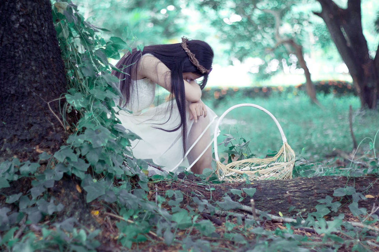 Image - the princess forest princess
