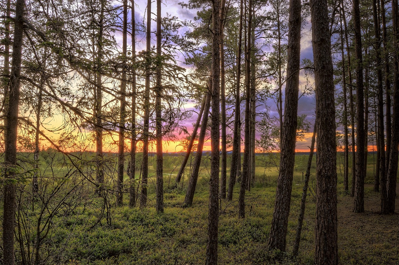 Image - store mosse national park sweden