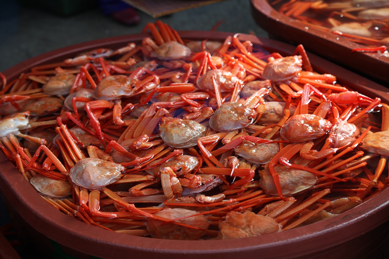 Image - hong to sokcho crab red up to