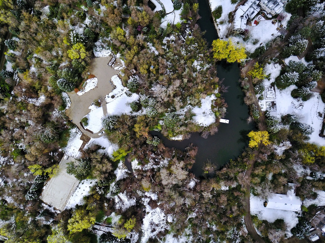 Image - green plants trees aerial view