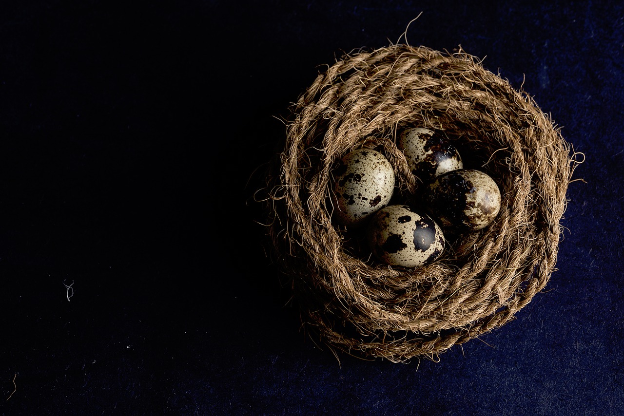 Image - brown rope nest quail