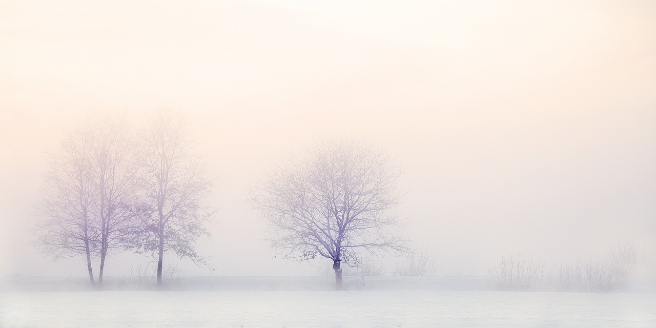 Image - winter landscape trees snow nature