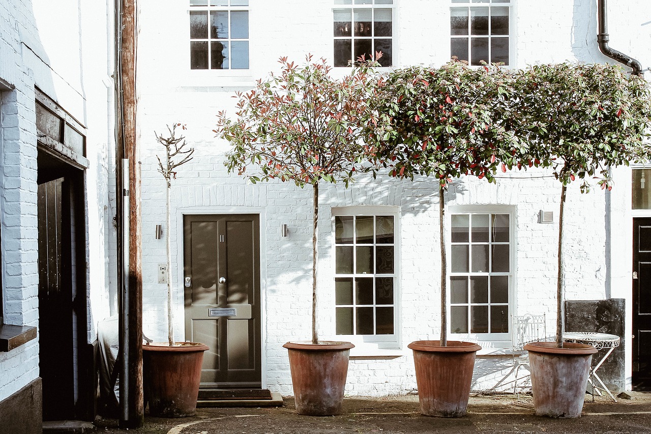 Image - aesthetics beauty art plant garden