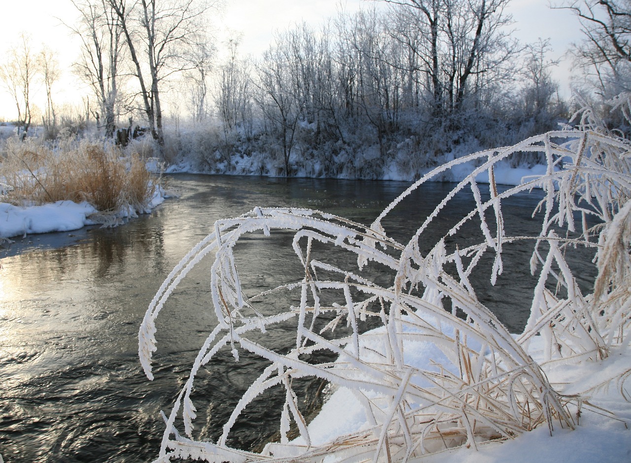 Image - river back on track bend water for