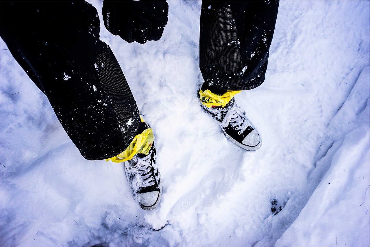 Image - shoes sneakers snow