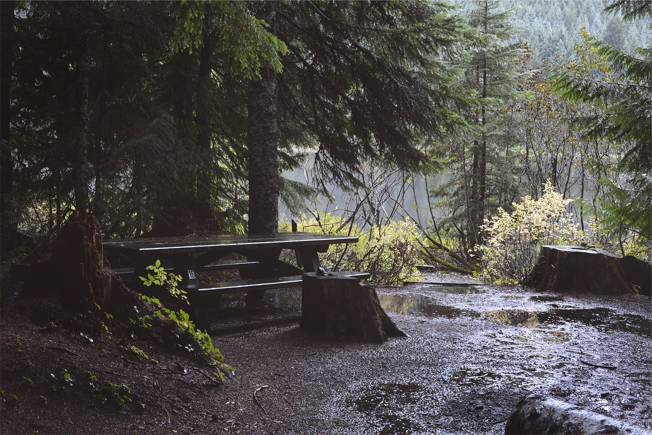 Image - picnic table raining wet trees mud