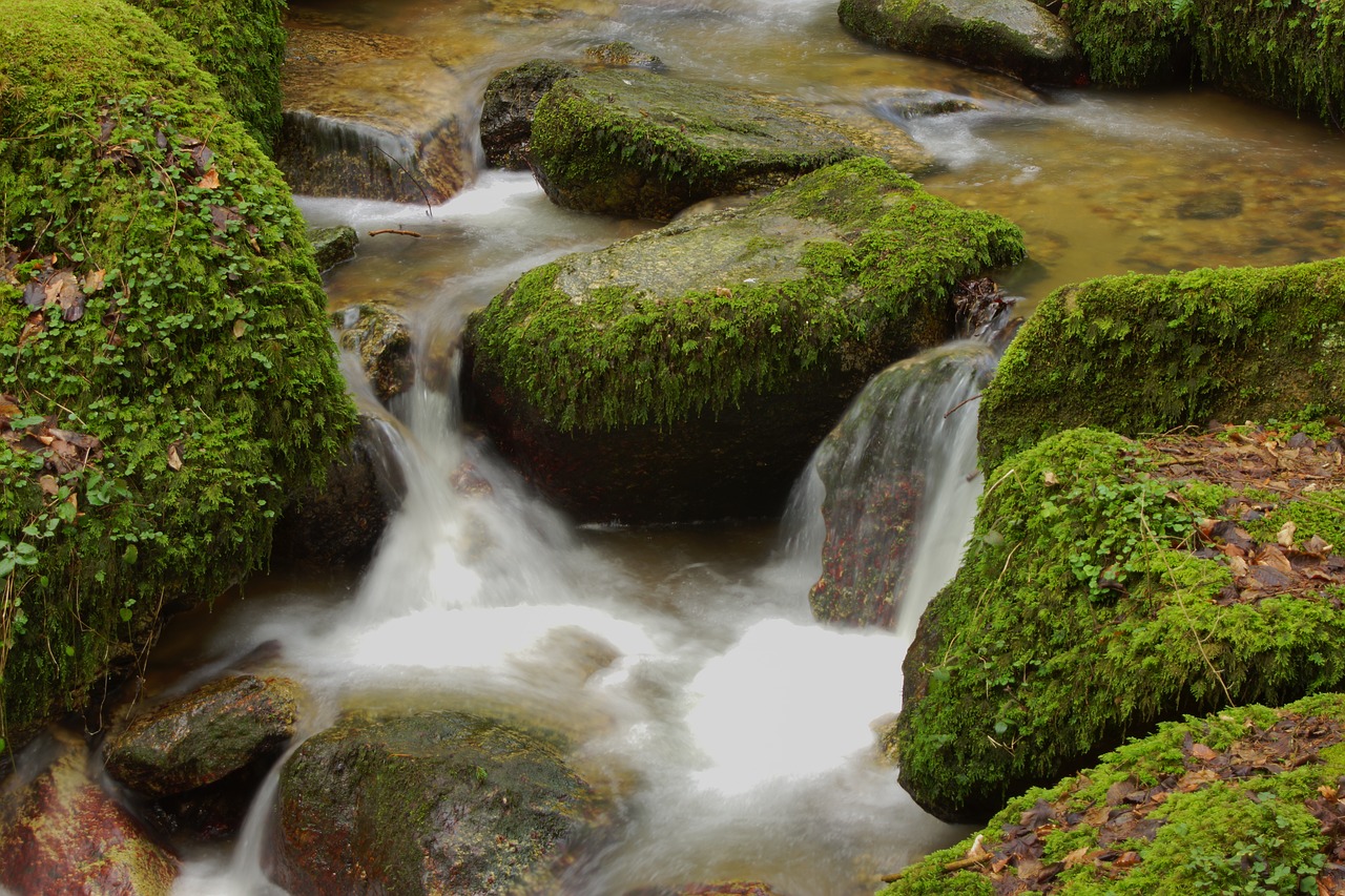 Image - water bach nature landscape murmur