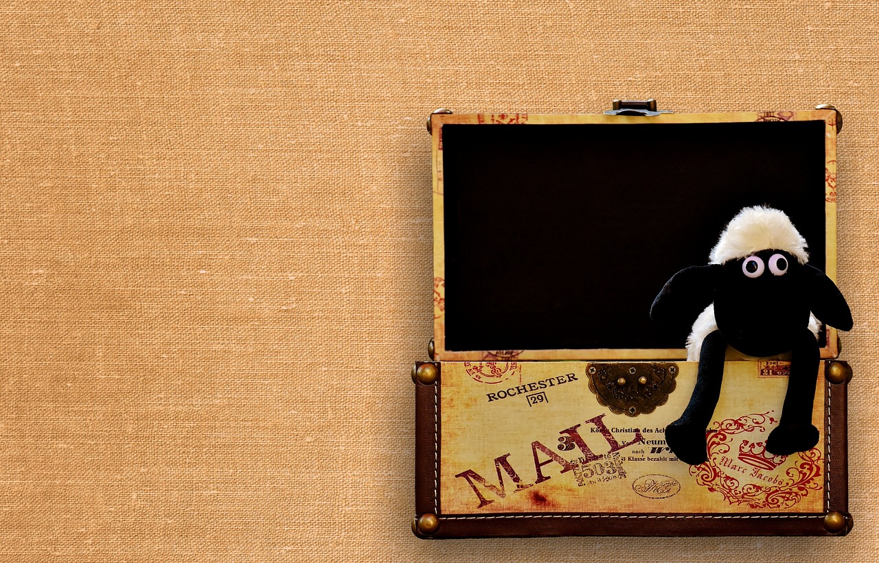Image - sheep chest box funny animal