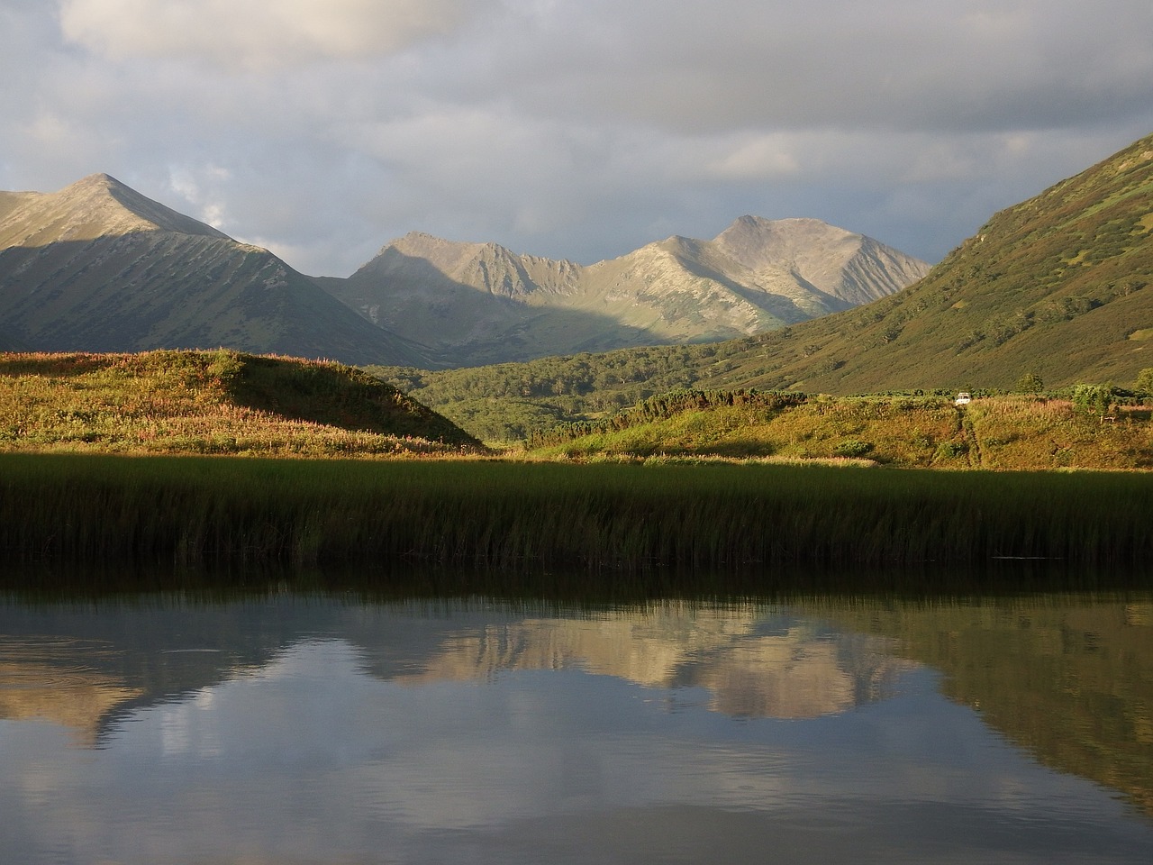 Image - lake mountains forest reflection