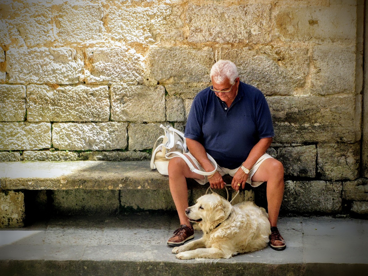 Image - man dog company grandfather