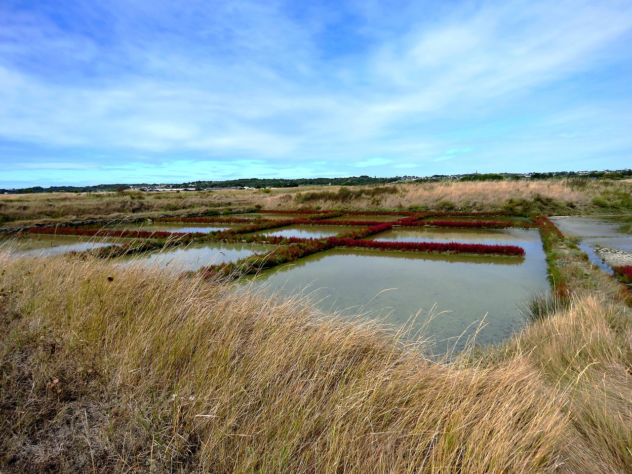 Image - guérande salt marsh salt landscape