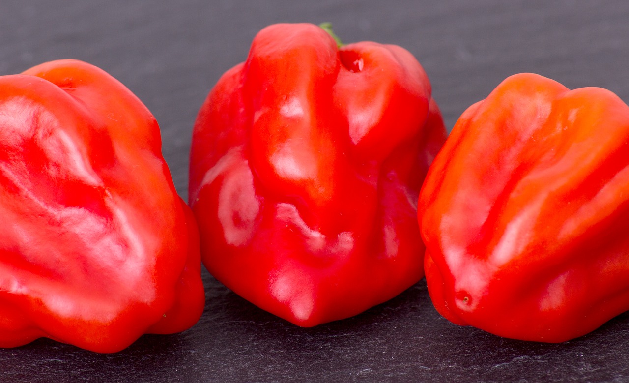Image - paprika fruit chili healthy red