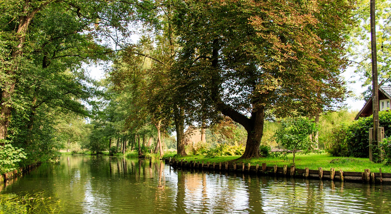 Image - spreewald lübbenau germany water