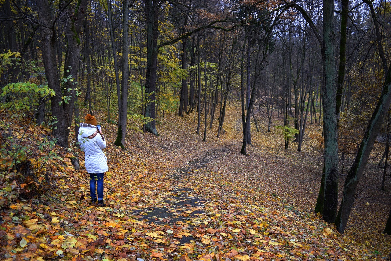 Image - autumn girl trees forest walking
