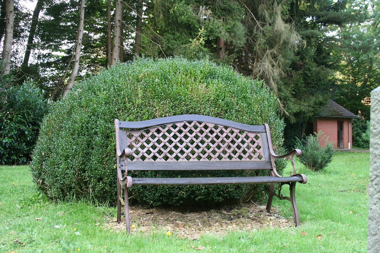 Image - garden bench boxwood bank relax