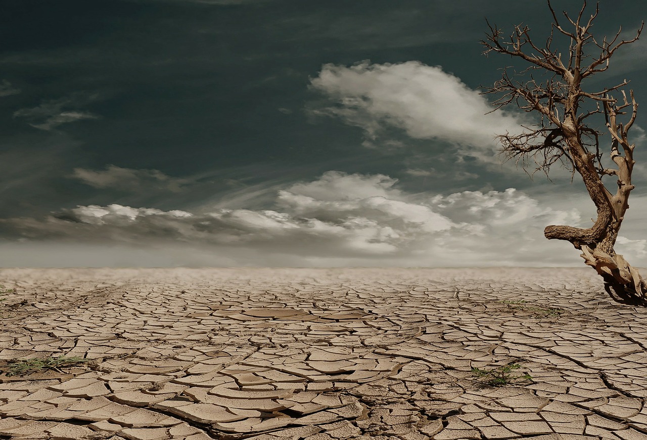 Image - desert drought dehydrated clay soil