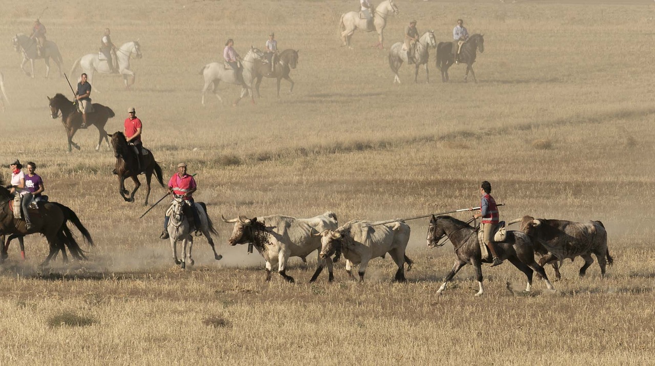 Image - bulls closures meek horses field