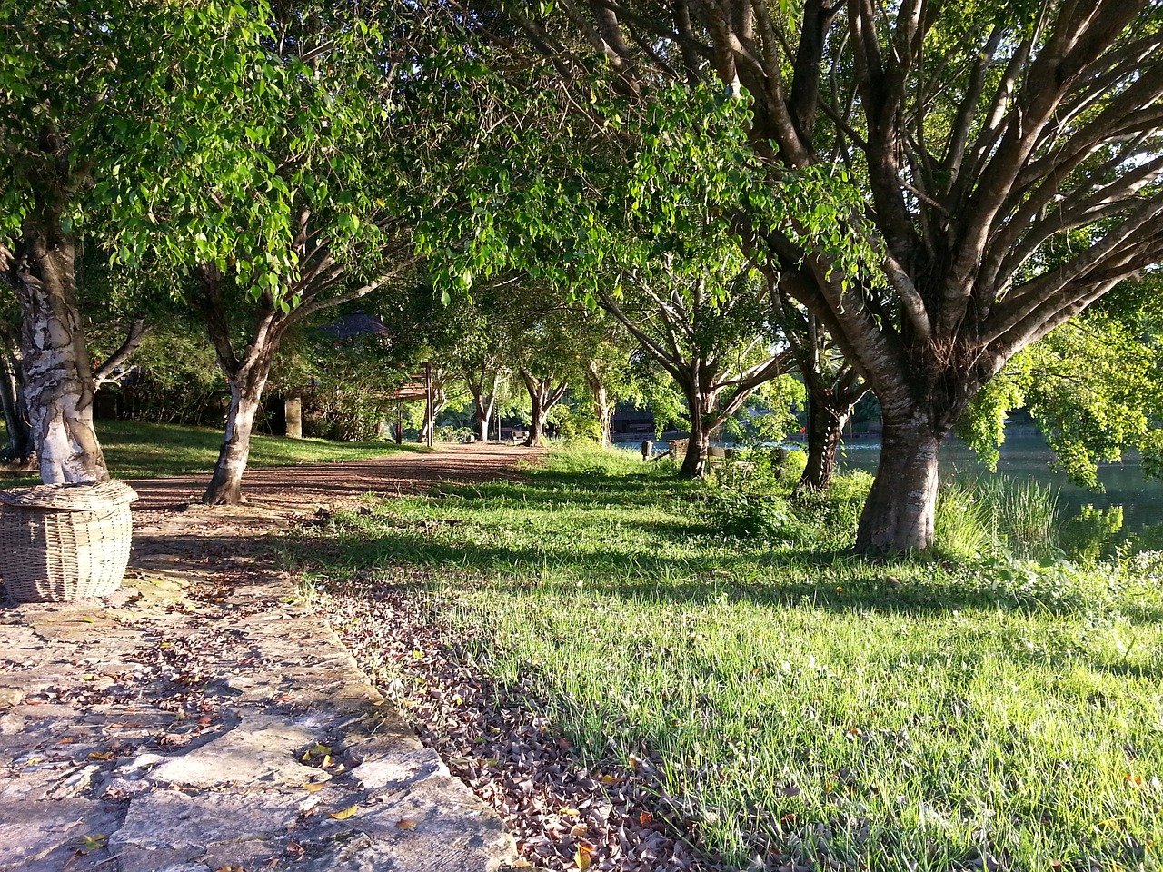 Image - path road trees shrubs landscape