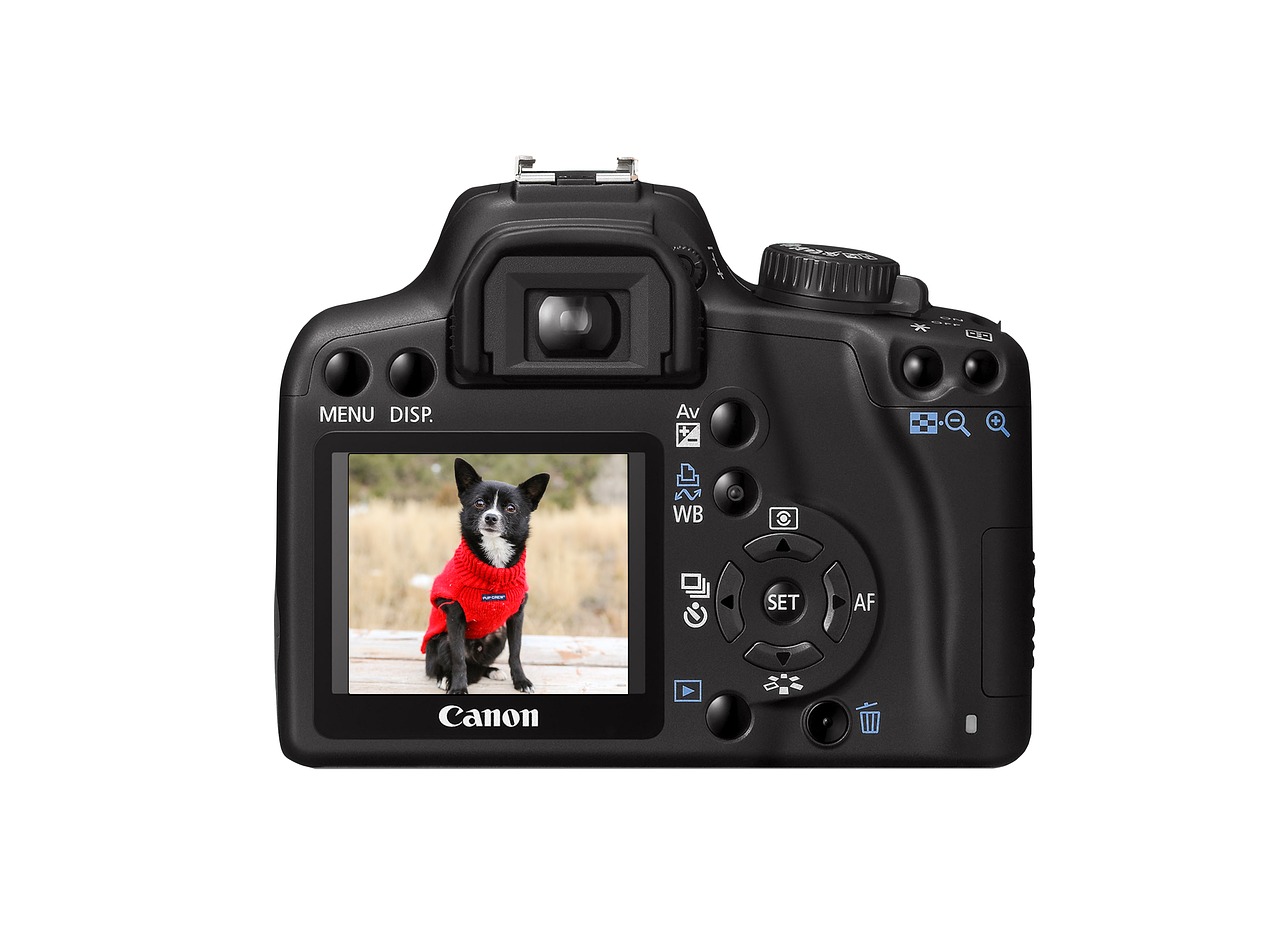 Image - camera dog picture image exposure