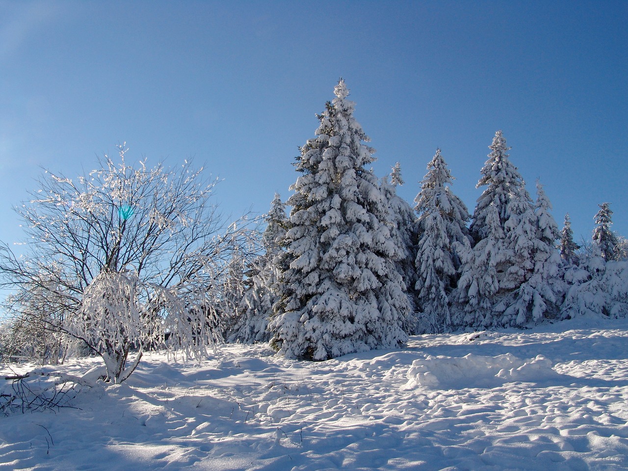 Image - goslar torfhaus snow resin winter