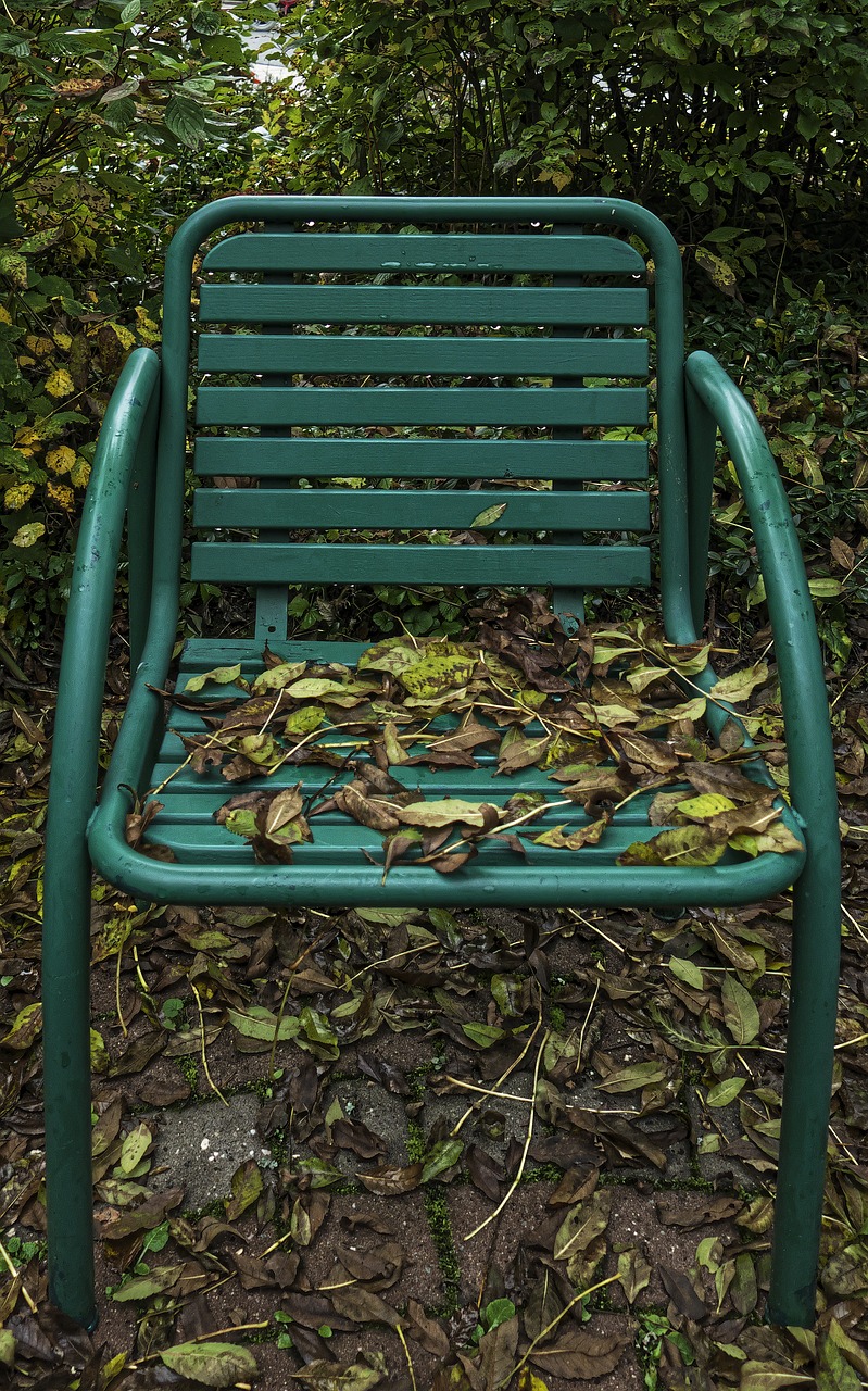 Image - fall foliage chair garden chair