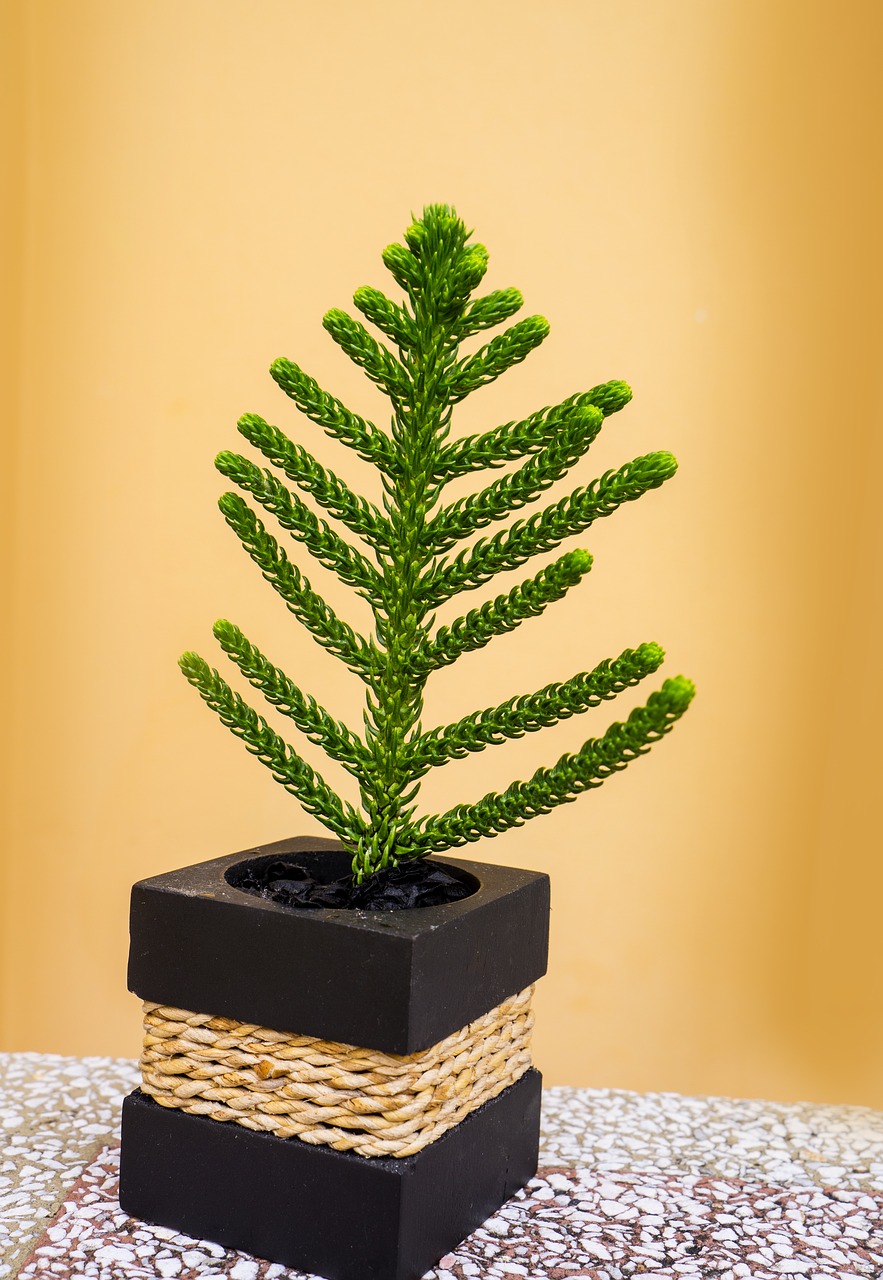 Image - leaves group lesbian decorate