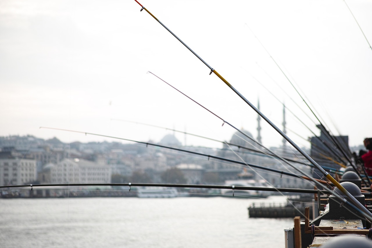Image - fisherman fishing rod pirate