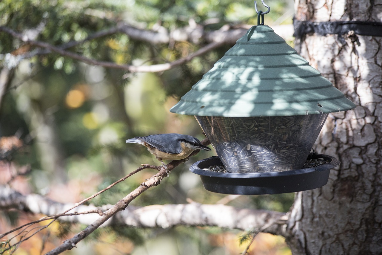 Image - bird aviary nesting box bird feeder