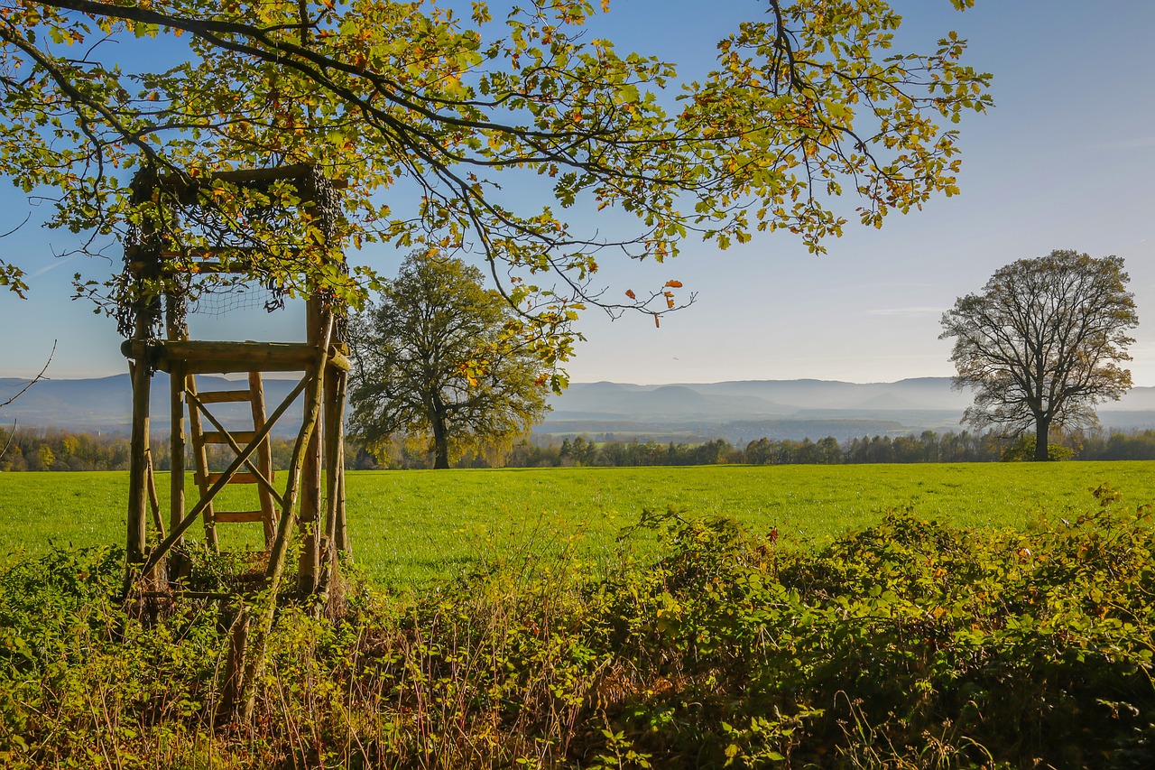 Image - autumn perch hunter seat
