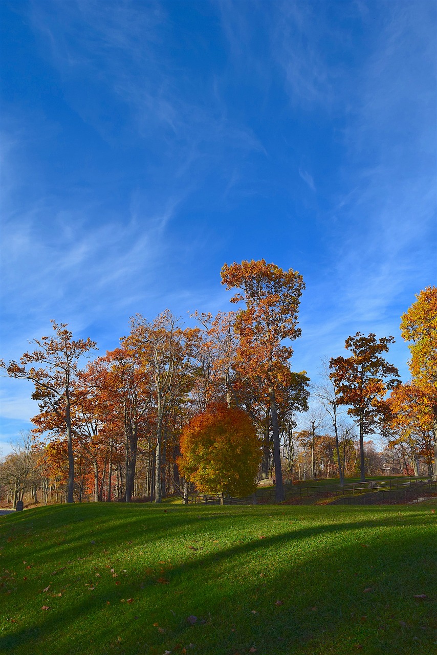 Image - landscape trees nature grass green