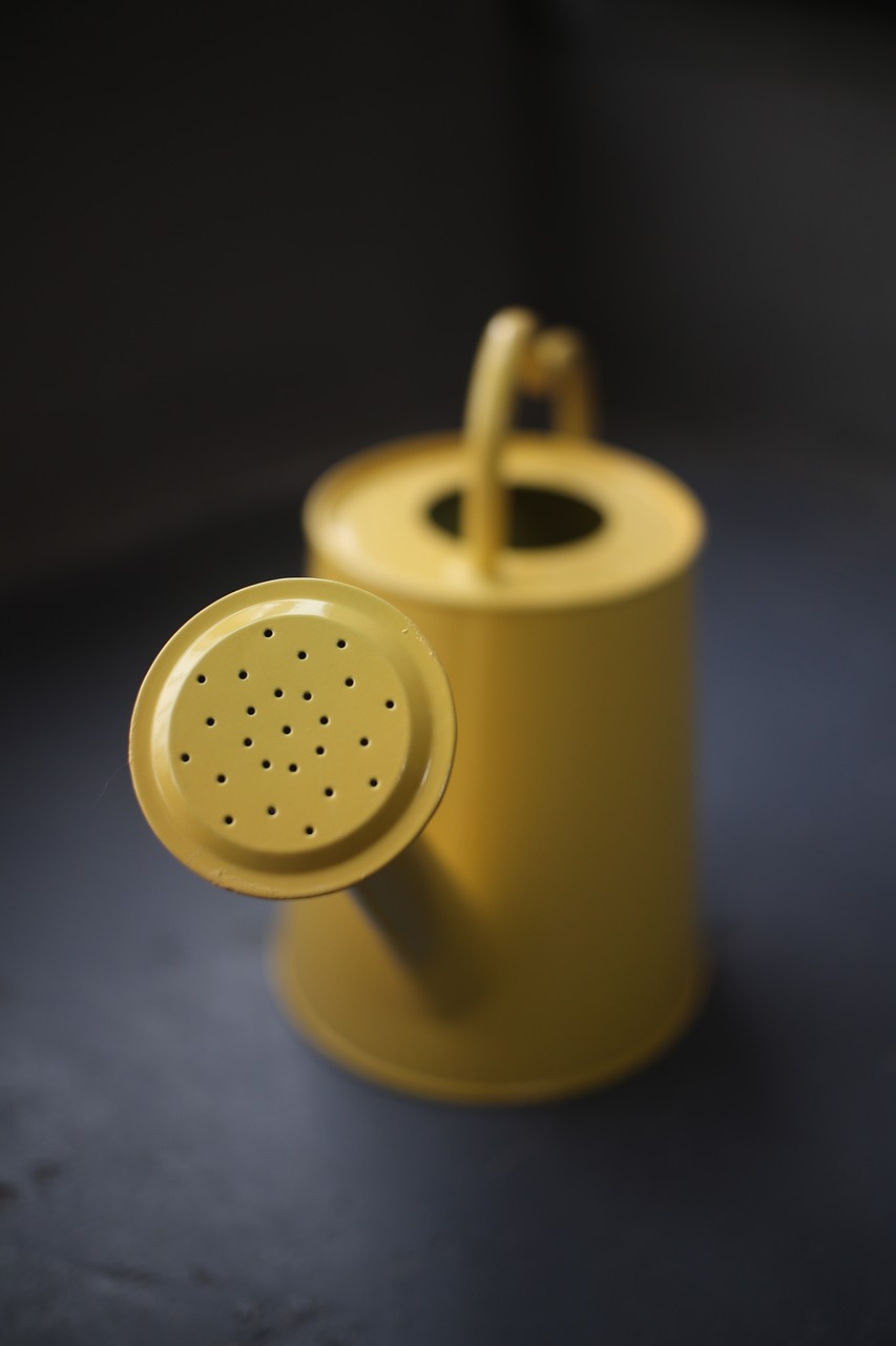 Image - still life watering yellow