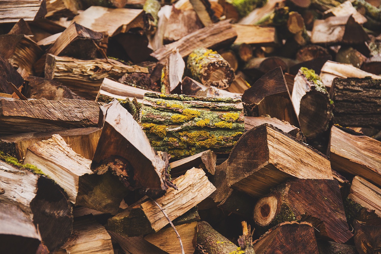 Image - nature autumn fall fire fireplace