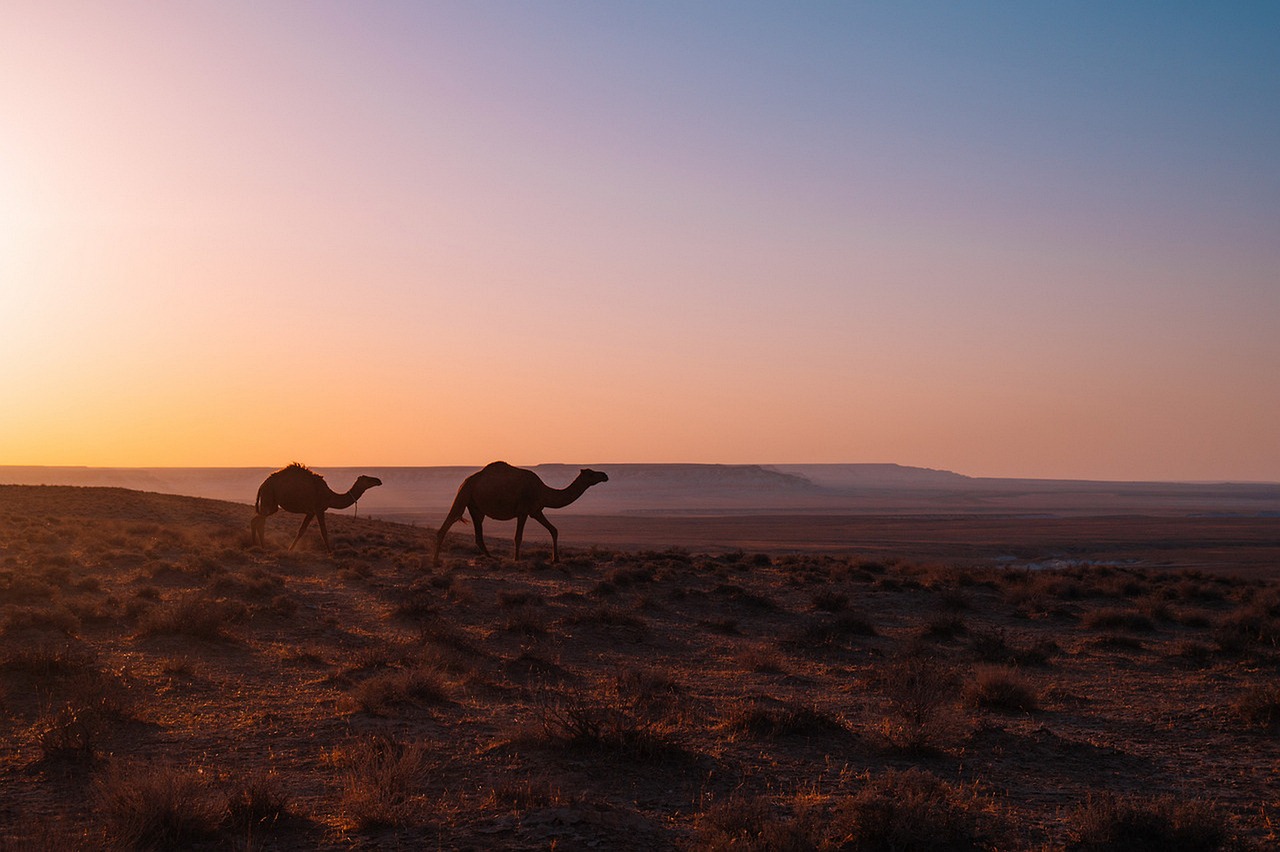 Image - desert landscape dry geology rock
